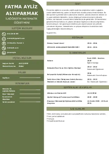 Matematik Öğretmeni Cv Örnekleri cv indir